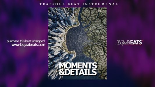 MOMENTS & DETAILS Oriental Trapsoul type beat cover