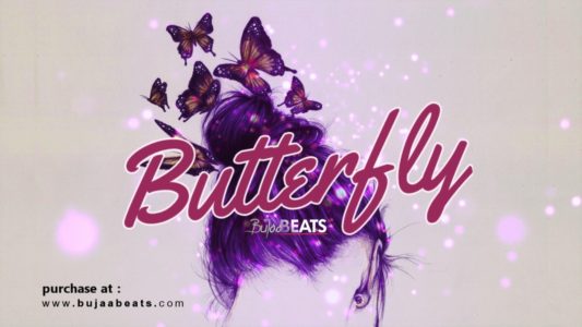 BUTTERFLY Oriental Afrobeat type beat cover