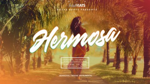 HERMOSA Oriental Afrobeat type beat cover
