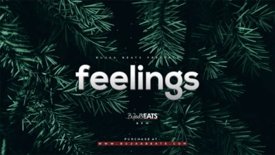 FEELINGS Oriental Afrobeat type beat cover