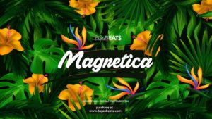 MAGNETICA Oriental Balkan type beat cover