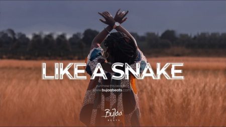 LIKE A SNAKE Oriental Afrobeat type beat cover
