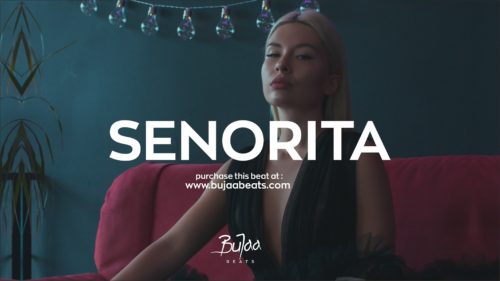 SENORITA Oriental Afrobeat type beat cover