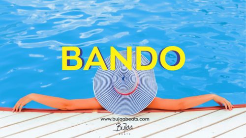 Bando Oriental Afrobeat type beat cover