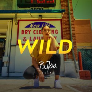 WILD Oriental Dancehall type beat cover