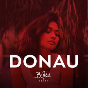 Donau Oriental Hip Hop type beat cover