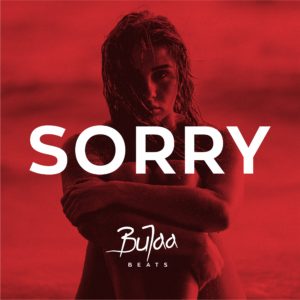 SORRY Oriental Hip Hop type beat cover