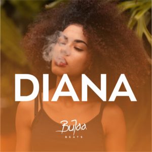 DIANA Oriental Afrobeat type beat cover