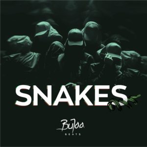 Snakes Oriental Rap type beat cover