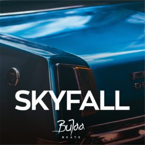 SKYFALL Oriental Balkan type beat cover