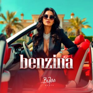 BENZINA with HOOK Oriental Afrobeat type beat cover